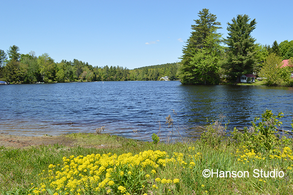 Stoddard, NH - Highland Lake - Summer